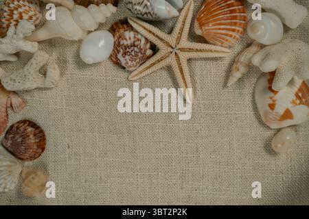 Beach themed composition with seashells and copy space on beige background Stock Photo