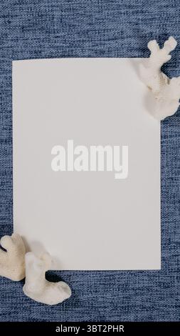 Minimal seashell frame with blank space on textured coastal fabric background Stock Photo