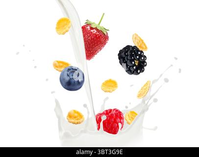 Tasty corn flakes and fresh berries falling into splashing milk on white background Stock Photo
