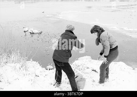 Feeding swans in the snow Velsen, Whizgle News, Dutch Desk, The Netherlands, 1950 - 2000 on 26-01-1979. The image includes these topics. The scene captures a serene winter setting, dominated by a frozen lake fringed with snow. The surface of the water, partially ice-covered, reflects a muted winter light, casting a soft, diffused glow across the area. In the center, a couple of swans are gliding gracefully across the partially open water, their pure white feathers contrasting beautifully against the icy backdrop. On the shore, two women engage in a lively interaction. One, dressed in a dark co Stock Photo