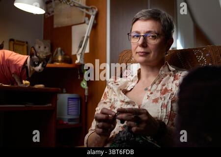 A confident mature woman sitting in a cozy home environment, focused on crocheting a handmade piece. In the background, a Sphynx cat in a red sweater Stock Photo