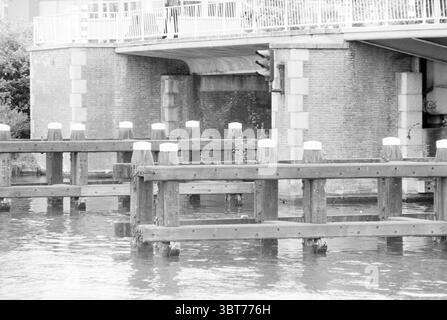 Tree on pier at Prinsenbrug Haarlem Prinsenbrug The Netherlands, Whizgle News, Dutch Desk, The Netherlands, 1950 - 2000 on 16-07-1980. These are the elements in the image. The scene presents a serene river setting, enhanced by a monochromatic palette that emphasizes shadows and textures. The focus centers on a sturdy wooden structure extending into the water, with vertical posts and horizontal beams creating a robust grid-like design. Each post is capped with a white buoy, contrasting sharply against the deeper tones of the wood. The surface of the water reflects the structures above, creating Stock Photo
