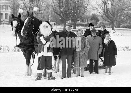 Three sixty-year-old couples with sleigh and Santa Claus Christmas and Christmas trees, Whizgle News, Dutch Desk, The Netherlands, 1950 - 2000 on 17-12-1981. These are the elements in the image. In a wintery scene covered in a fresh blanket of snow, a group of people stands in front of a horse-drawn sleigh. The landscape is marked by a soft white terrain, with snowflakes gently falling from the overcast sky. To the left, a pair of majestic horses, adorned with festive decorations, stand patiently. One horse features a harness that is subtly embellished, adding a touch of cheerfulness to the mo Stock Photo