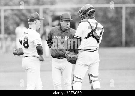 Kinheim - HCAW Baseball Kinheim, Whizgle News, Dutch Desk, The Netherlands, 1950 - 2000 on 15-06-1985. These are the topics in the image. In a dynamic outdoor setting, three individuals are gathered in a huddle, suggesting a moment of strategy or discussion. The scene is surrounded by a lush green field, likely part of a baseball diamond, indicated by the grass texture and the presence of a blurred background that hints at further sporting activity. The individuals are dressed in uniforms, two wearing matching attire that features a classic color scheme of white and dark accents, while the thi Stock Photo