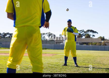 Male baseball player catching baseball wearing yellow and blue uniform on grassy field with fence Stock Photo