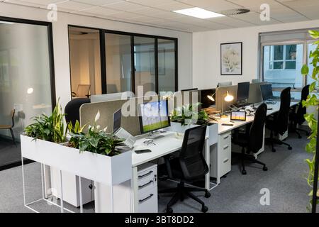 White office desks are hosting monitors and laptops amid grey dividers and green plants Stock Photo