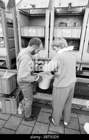 Collection of small chemical waste (KCA) with a specially equipped garbage truck.., Whizgle News, Dutch Desk, The Netherlands, 1950 - 2000. These are the elements in the image. The scene captures two individuals engaged in a cooperative endeavor, set against a backdrop of large, industrial containers that are organized in a grid-like formation. The setting suggests a bustling market or trading area, with a slight hint of utility and purpose in the arrangement of the objects. The first individual is a middle-aged man with a dense beard, dressed in practical, utilitarian clothing. He is focused Stock Photo