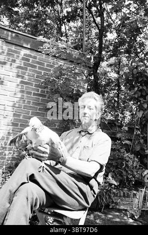 14 year old chicken family Belt. Animals, Whizgle News, Dutch Desk, The Netherlands, 1950 - 2000 on 09-06-1965. The image contains these topics. In a tranquil outdoor setting, an older man is seated comfortably on a wooden chair. He has a relaxed demeanor, holding a bird gently in his hands, showcasing a sense of companionship. The man has gray hair and a weathered face, which conveys a lifetime of experiences. The scene is adorned with lush greenery; various plants and shrubs frame the background, creating a serene and natural atmosphere. The sunlight filters through the leaves, casting dappl Stock Photo