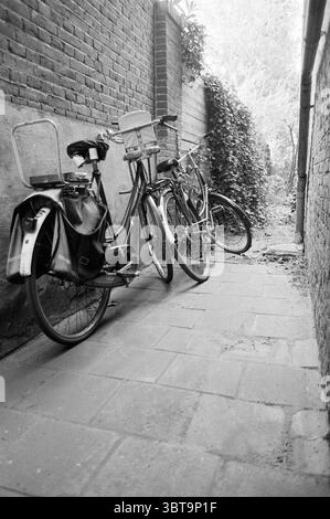 Cycling in an alley Haarlem The Netherlands, Whizgle News, Dutch Desk, The Netherlands, 1950 - 2000 on 09-04-1992. The image shows these topics. In a narrow passageway framed by brick walls, two bicycles are parked closely together, their tires resting on a cobblestone surface. The bicycles exhibit a classic design, one featuring a front basket, while the other has a more streamlined silhouette. Both are in muted shades, with one appearing darker and the other lighter, creating a subtle contrast. To the left, the brick wall exhibits a reddish tone, its texture rough and weathered, hinting at a Stock Photo