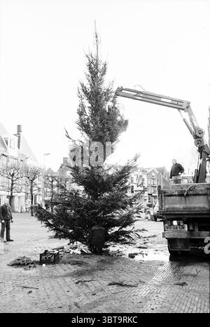 Placing a Christmas tree Grote Markt Haarlem Grote Markt The Netherlands, Whizgle News, Dutch Desk, The Netherlands, 1950 - 2000 on 20-12-1993. The image shows these topics. In a bustling public square, a large evergreen tree dominates the scene, its branches reaching skyward and radiating a sense of grandeur. The tree is still adorned with a few remnants of past decorations, hinting at its dual purpose. Surrounding the base, various crates and tools are scattered across the cobblestone pavement, indicating ongoing preparations. Two individuals are engaged in the task of setting up the tree. O Stock Photo