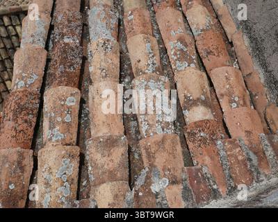 Old clay roof tiles with lichen fungi growing Stock Photo