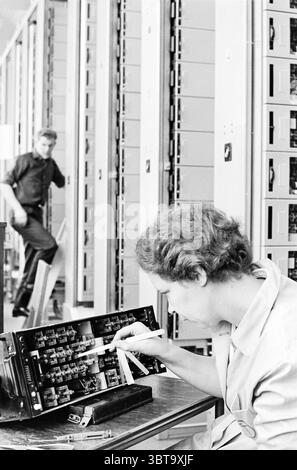Woman working at a switchboard of a telephone exchange., Whizgle News, Dutch Desk, The Netherlands, 1950 - 2000. These are the topics in the image. The scene captures a bustling work environment dominated by machinery and technology. In the foreground, a focused individual is hunched over a detailed piece of equipment, examining and adjusting circuitry with precision tools. This person, wearing a light-colored shirt, exhibits a deep concentration, highlighting their expertise in the task at hand. In contrast, the background features a tall array of machinery, possibly servers or data processin Stock Photo