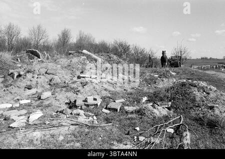 Garbage dump in the polder., Whizgle News, Dutch Desk, The Netherlands, 1950 - 2000. The image includes these topics. The scene presents a rural landscape dominated by a heap of rubble scattered across the foreground. Broken bricks and chunks of concrete create a chaotic texture, interspersed with patches of dry grass and small weeds pushing through the debris. In the background, a lone horse stands quietly, its silhouette juxtaposed against the open sky. The animal is positioned slightly off-center, contributing to the overall sense of solitude. The horse appears calm and contemplative, set a Stock Photo