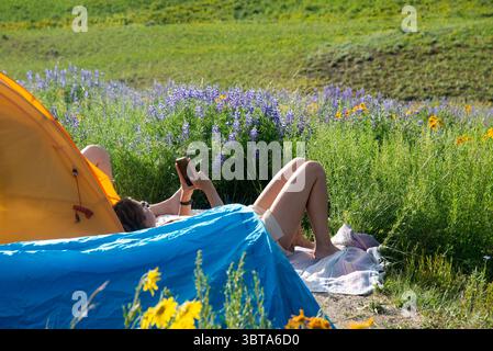 Two young woman enjoy the view while relaxing among the wildflowers above Crested Butte, Colorado. Stock Photo