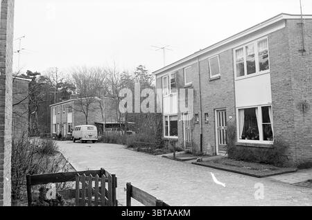 Two houses under one roof.., Whizgle News, Dutch Desk, The Netherlands, 1950 - 2000. These are the topics in the image. The scene presents a quiet residential area characterized by a row of modest, two-story brick houses. These buildings feature large windows that reflect the surrounding environment, with a subtle play of light and shadow creating a soft contrast on the façades. The colors are predominantly muted, with the brickwork in shades of gray and beige, complemented by white trim around the windows and doors. In the foreground, a narrow, cobblestone pathway leads through the comfortabl Stock Photo