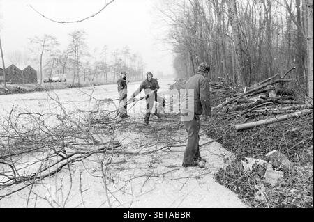 Trimming trees on the Leidsevaart Trees, Whizgle News, Dutch Desk, The Netherlands, 1950 - 2000 on 20-02-1986. These are the topics in the image. The scene depicts a wintery landscape characterized by overcast skies, creating a muted, grayish tone throughout. A dense curtain of falling snow fills the air, contributing to the chilly atmosphere. In the foreground, three individuals are actively engaged in clearing a path. They are dressed in warm, layered clothing suited for the cold, with jackets and hats providing protection against the elements. Surrounding them are scattered branches and deb Stock Photo