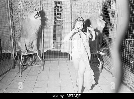 Striptease with lions Show, Whizgle News, Dutch Desk, The Netherlands, 1950 - 2000 on 07-09-1970. These topics appear in the image. The scene features a dramatic and theatrical setting, characterized by its stark black and white palette. In the foreground, a performer stands confidently, dressed in a striking outfit that includes a shiny, sequined garment, accentuated by a flowing tail. Her pose is dynamic, suggesting she is mid-performance, and her expression conveys a mix of fearlessness and charm. To her left and right, two majestic lions are present, perched on elevated platforms, their po Stock Photo