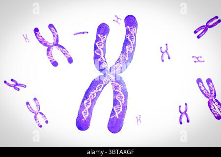 3d rendering transparent chromosome x contain dna strand inside Stock Photo