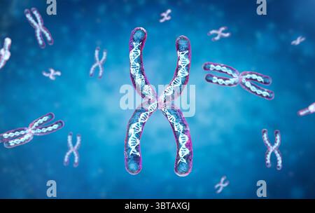 3d rendering transparent chromosome x contain dna strand inside Stock Photo