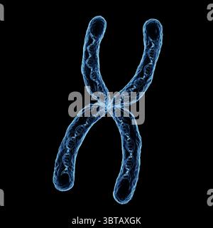 3d rendering blue transparent chromosome x contain dna strand inside isolated on black Stock Photo