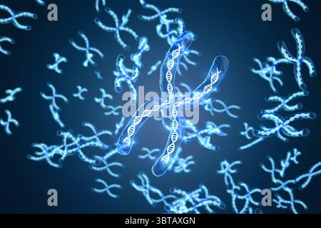 3d rendering transparent chromosome x contain dna strand inside Stock Photo