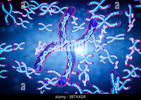 3d rendering transparent chromosome x contain dna strand inside Stock Photo