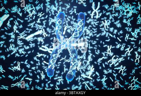 3d rendering transparent chromosome x contain dna strand inside Stock Photo
