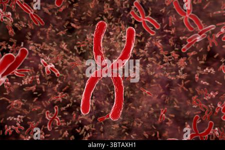 3d rendering red chromosome x through microscope Stock Photo