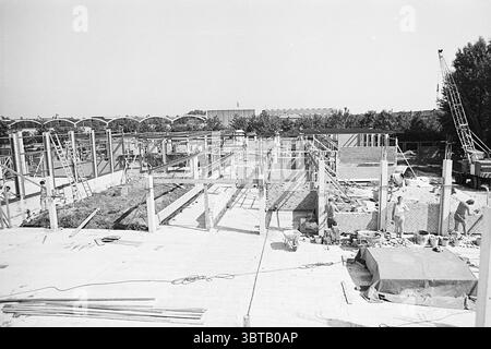 Construction of the Gemma School. Construction construction pits Haarlem Zomerluststraat Nederland, Whizgle News, Dutch Desk, The Netherlands, 1950 - 2000 on 14-08-1974. The image shows these topics. The scene captures a bustling construction site, presented in monochrome tones that emphasize shadows and contrasts. In the foreground, a series of concrete pillars rise vertically, forming a skeletal framework of a building under development. Scattered materials—steel beams, wooden planks, and construction tools—litter the ground, indicating ongoing work. Workers are dispersed throughout the spac Stock Photo