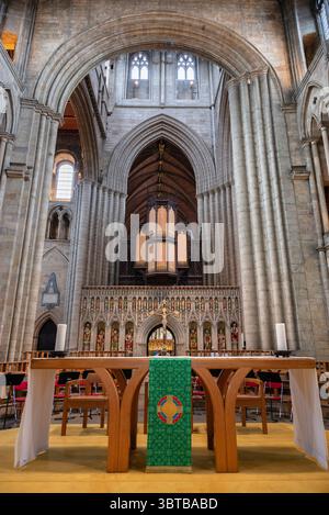The magnificent screen, organ and main chapel of Ripon Cathedral in Yorkshire, England.  The Cathedral Church of St Peter and St Wilfrid, now known as Ripon Cathedral was founded as a monastery by monks of the Irish tradition in the 660s, and lasted through the Middle Ages. The present church is the fourth, and was built between the 13th and 16th centuries. In 1836 the church became the cathedral for the Diocese of Ripon. Stock Photo