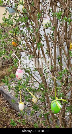 Vibrantly decorated Easter eggs are hanging from the branches of a leafy tree, creating a festive and cheerful atmosphere. The eggs include various Stock Photo