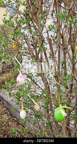 Vibrantly decorated Easter eggs are hanging from the branches of a leafy tree, creating a festive and cheerful atmosphere. The eggs include various Stock Photo