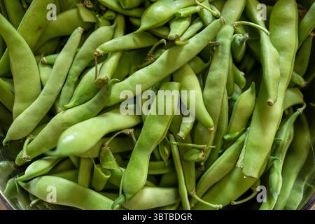 Close-up view of fresh green beans stacked in bulk Stock Photo