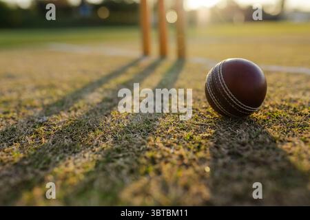 Leather cricket ball resting on worn grass pitch, wooden stumps casting shadows under golden light Stock Photo