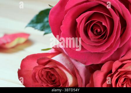 Red roses arranged in a bouquet on a table. Stock Photo
