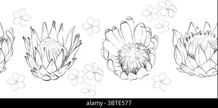 Vector simple seamless summer border, pattern. Tropical flower proteas and plumeria. Hand drawn graphic ornament. Black circuit silhouette Stock Vector