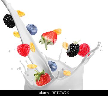 Tasty corn flakes and fresh berries falling into splashing milk on white background Stock Photo