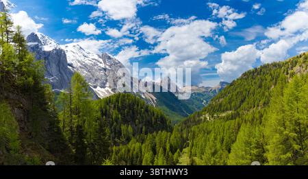 A breathtaking panoramic view of the Dolomites, with the snow-capped Marmolada peaks on the left, lush green valleys, and a vibrant blue sky with scat Stock Photo