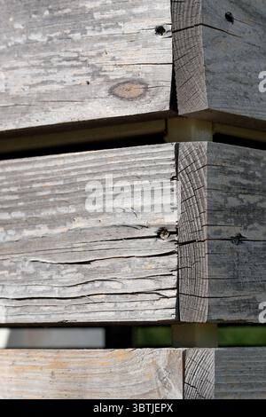 Wooden background from unpainted textured light boards Stock Photo