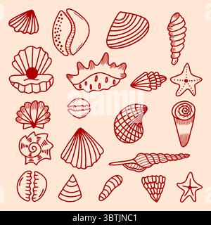 Hand-drawn vector illustration of seashells and starfish, Sea shell collection, summer travel marine kit. Underwater sea shell set, Doodle Outline Stock Vector