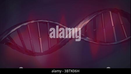 Rotating DNA double helix model twisting across digital space, with rods and rungs, red flares Stock Photo