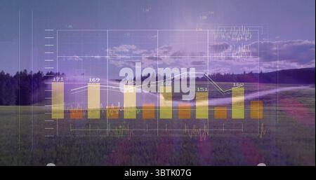 Displaying data overlay floating over meadow at dusk, with clear bars, white trend line and labels Stock Photo