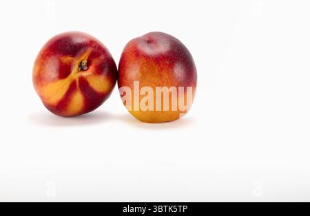Two ripe, fresh juicy Nectarines isolated on white background with a cast shadow. Stock Photo