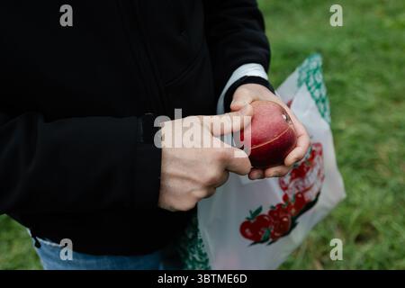Individual using a knife to peel an apple in a grassy field, enjoying fresh produce during autumn harvest time. Stock Photo