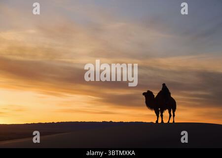 Silhouette of a Young man riding a Bactrian camel (Camelus bactrianus), Gobi desert, Mongolia Stock Photo