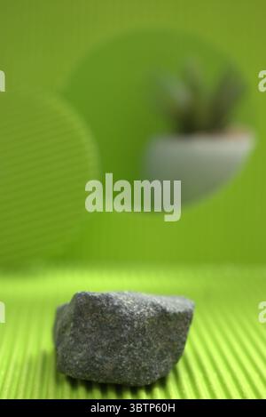 Fondo creativo con figuras geométricas y elementos botánicos como lavanda y suculentas. Ideal para diseño gráfico, presentación de productos cosmético Stock Photo