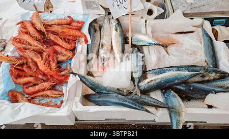 Fresh red prawns and mackerel displayed on ice in styrofoam boxes at a seafood market. Stock Photo
