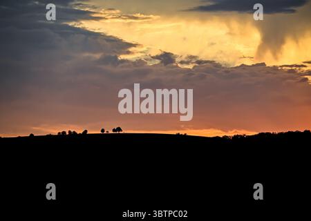 Silhouetted treetops on a hill under a dramatic sunset sky with vibrant orange and golden tones blending into stormy clouds. Stock Photo