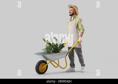 Male gardener carrying trolley with plants on light background Stock Photo