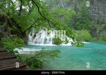 Lush green vegetation surrounds cascading waterfalls in Plitvice Lakes National Park, creating a serene and untouched natural landscape Stock Photo